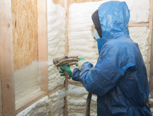 Best Attic Insulation Installation  in Silver Lake, FL